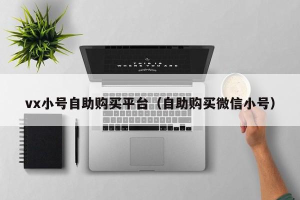 vx小号自助购买平台（自助购买微信小号）