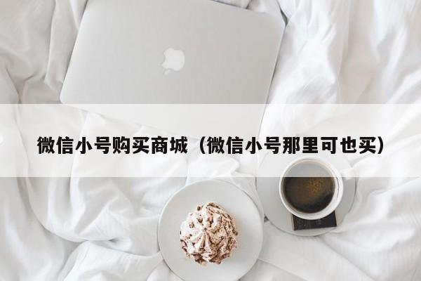 微信小号购买商城（微信小号那里可也买）