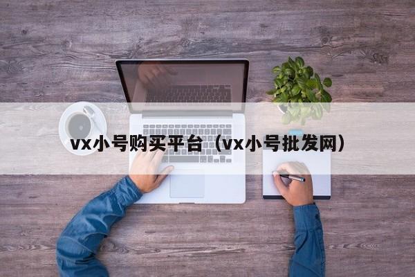 vx小号购买平台（vx小号批发网）