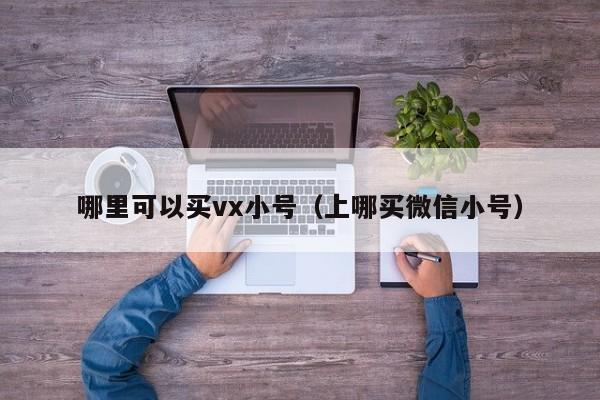 哪里可以买vx小号（上哪买微信小号）
