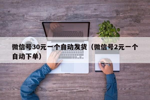 微信号30元一个自动发货（微信号2元一个自动下单）