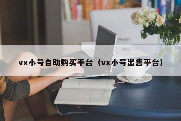 vx小号自助购买平台（vx小号出售平台）