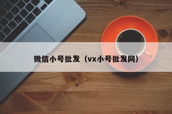 微信小号批发（vx小号批发网）