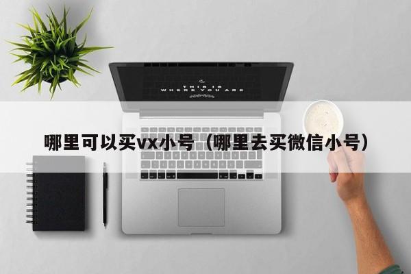 哪里可以买vx小号（哪里去买微信小号）
