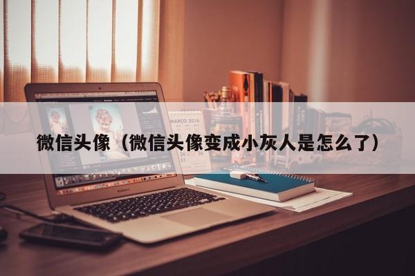 微信头像（微信头像变成小灰人是怎么了）