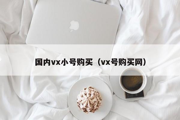 国内vx小号购买（vx号购买网）
