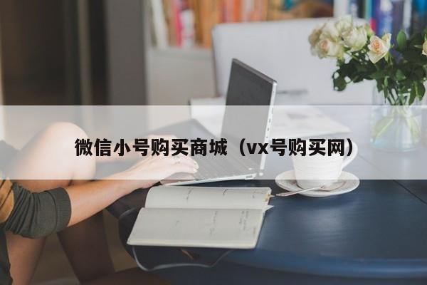 微信小号购买商城（vx号购买网）